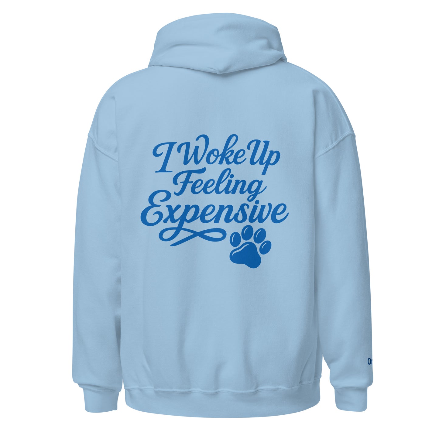 PawpOff Baby-Blue unisex hoodie with “I Woke Up Feeling Expensive” graphic design
